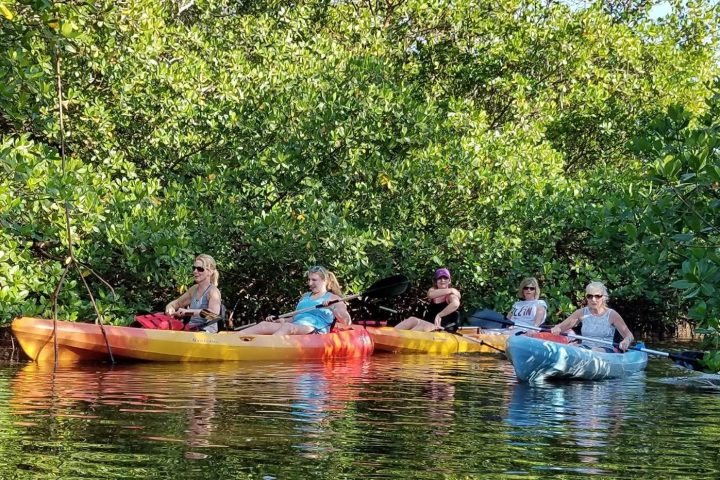 kayaking through estero bay